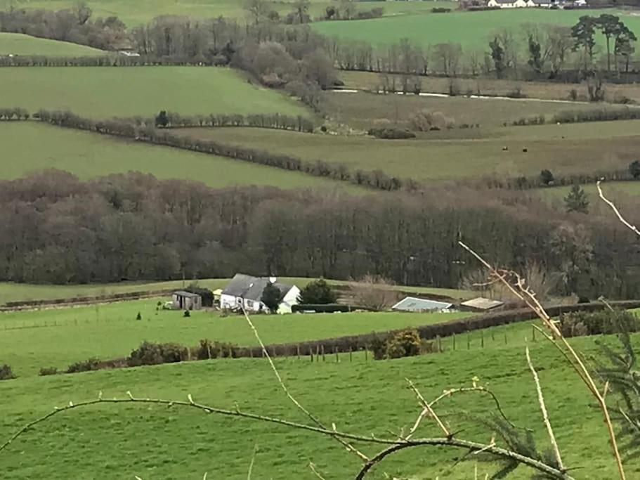 Stunning Shepherds Hut Rural Bliss Dumfries Exteriér fotografie